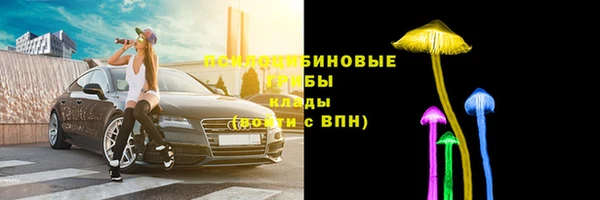 гашик Киренск