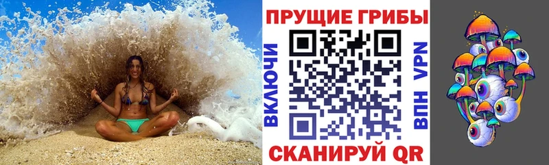 Купить где  Долинск  Псилоцибиновые грибы Magic Shrooms 